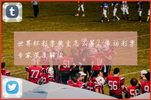 世界杯彩票奖金怎么算?专访彩票专家深度解读