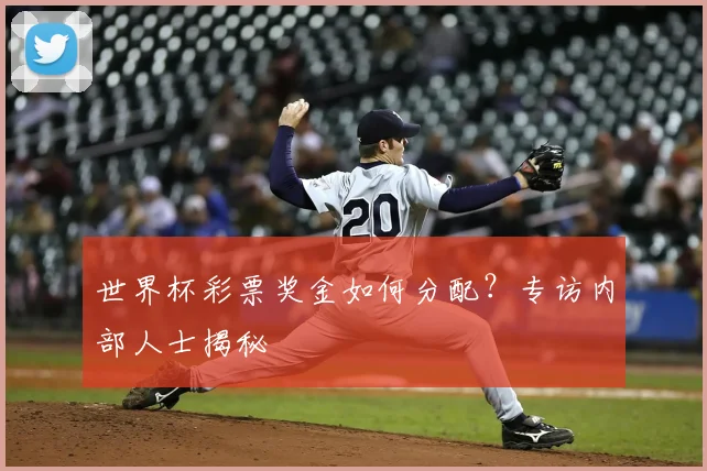 世界杯彩票奖金如何分配?专访内部人士揭秘