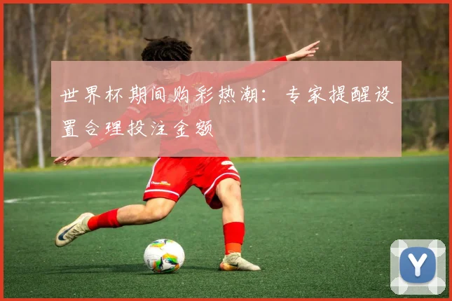 世界杯期间购彩热潮：专家提醒设置合理投注金额
