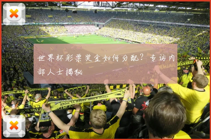 世界杯彩票奖金如何分配?专访内部人士揭秘