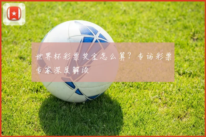 世界杯彩票奖金怎么算?专访彩票专家深度解读