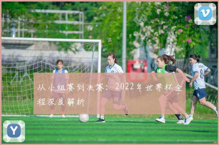 从小组赛到决赛：2022年世界杯全程深度解析