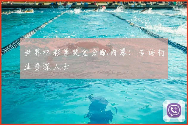 世界杯彩票奖金分配内幕：专访行业资深人士