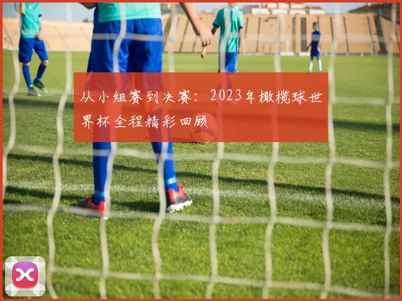 从小组赛到决赛:2023年橄榄球世界杯全程精彩回顾