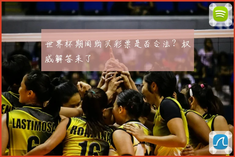 世界杯期间购买彩票是否合法？权威解答来了