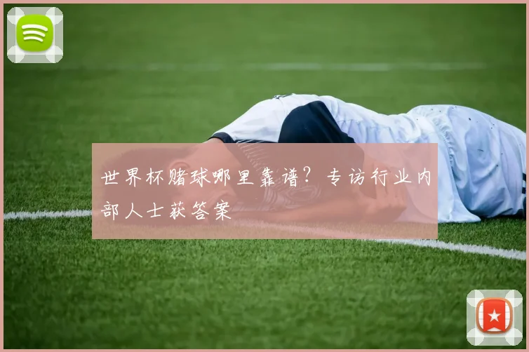 世界杯赌球哪里靠谱？专访行业内部人士获答案