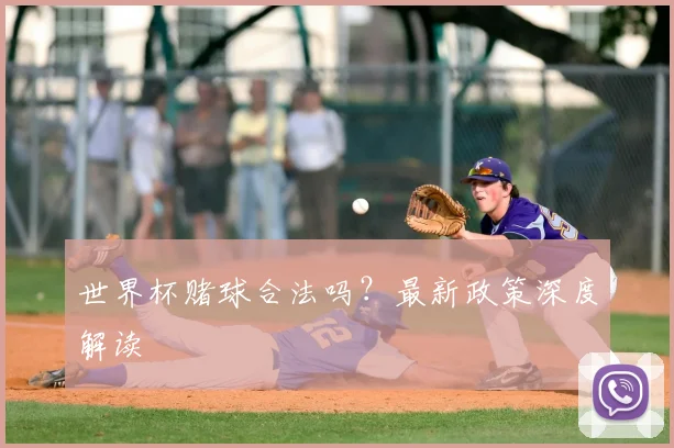 世界杯赌球合法吗?最新政策深度解读