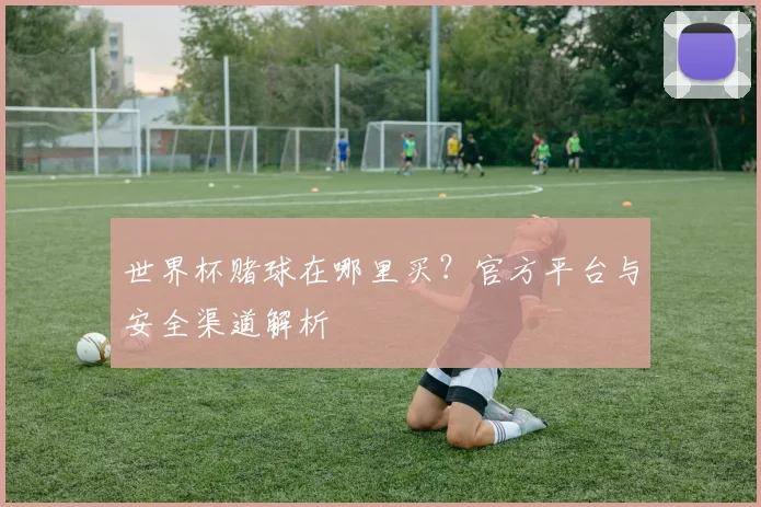 世界杯赌球在哪里买？官方平台与安全渠道解析