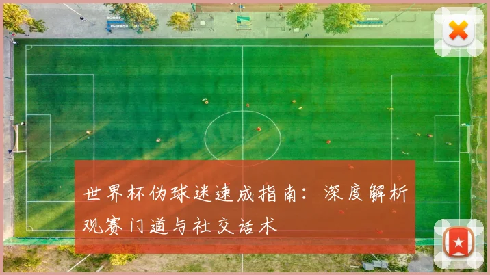 世界杯伪球迷速成指南：深度解析观赛门道与社交话术