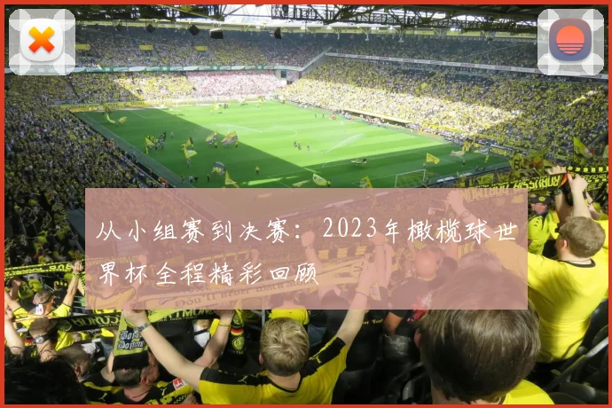 从小组赛到决赛:2023年橄榄球世界杯全程精彩回顾
