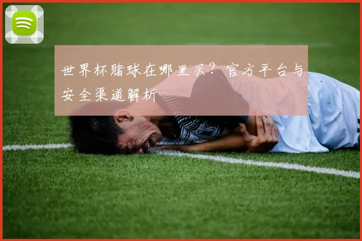 世界杯赌球在哪里买?官方平台与安全渠道解析