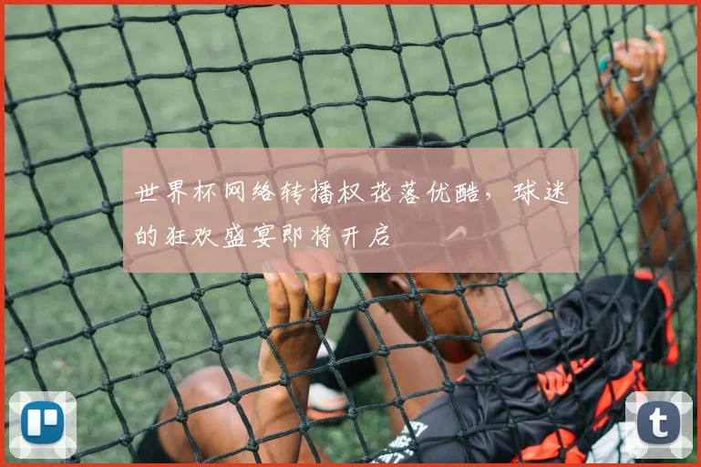 世界杯网络转播权花落优酷，球迷的狂欢盛宴即将开启